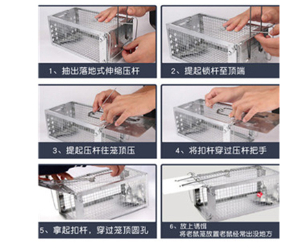 曾粵宗單門(mén)籠